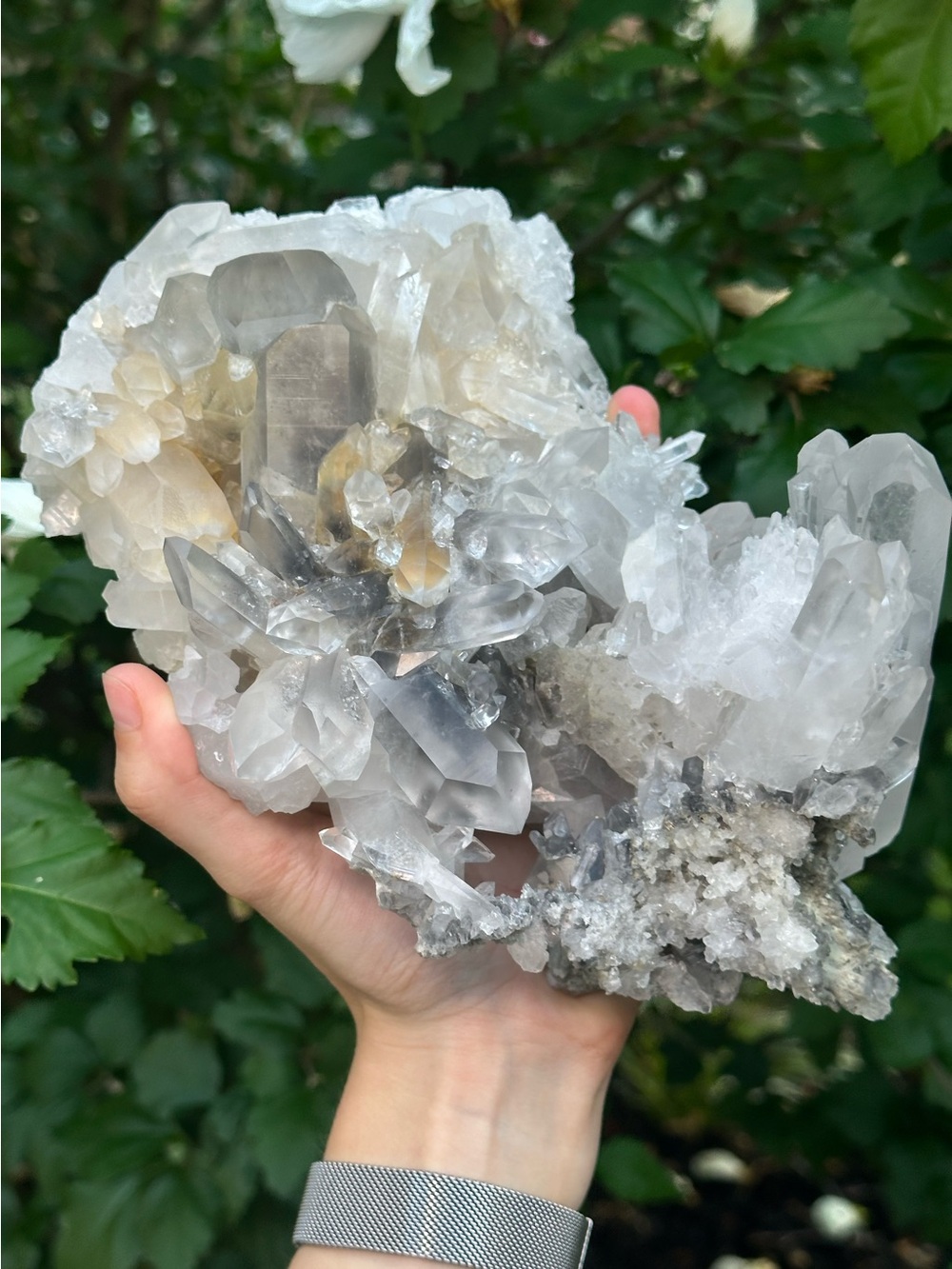 Arkansas Grey Lithium Quartz Cluster 🫧🩶🫧 ALQ10